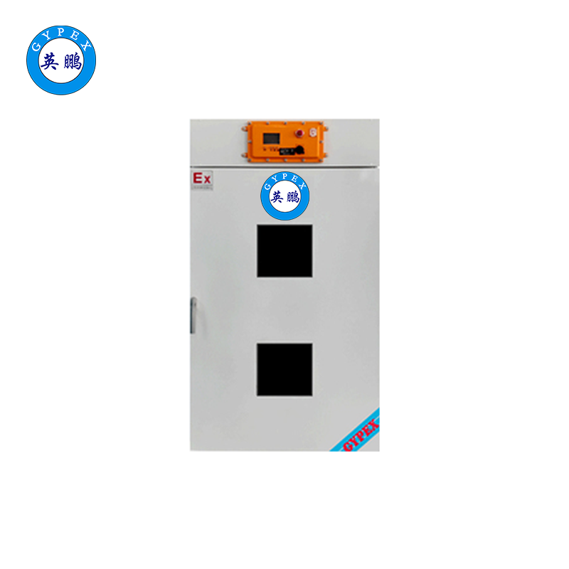 防爆電熱鼓風(fēng)干燥箱BYP-900GX-62GL